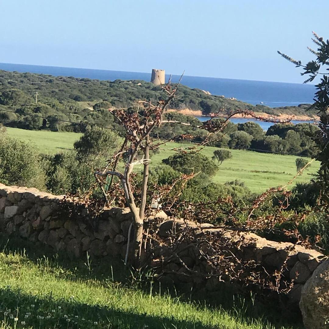 Stazzo La Foci Soluzioni Vista Mare Villa Aglientu Eksteriør bilde